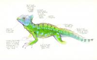 Beautiful Data: The Art of Science Field Notes