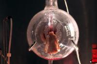 Bioart: The Ethics and Aesthetics of Using Living Tissue as a Medium