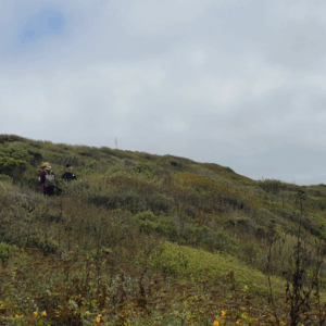 Art+Fog Collective, field research, summer 2025