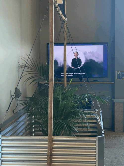 Art+Fog Exhibition at UCSC Seymour Marine Center, May-Sept 2025