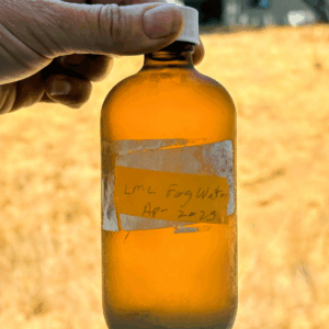 Art+Fog Collective, fog water