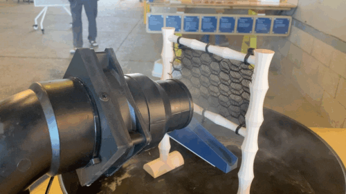 Art+Fog Exhibition at UCSC Seymour Marine Center, May-Sept 2025