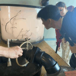 Art+Fog Exhibition at UCSC Seymour Marine Center, May-Sept 2025