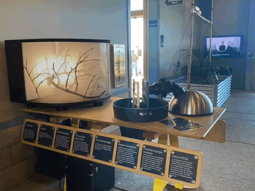 Art+Fog Exhibition at UCSC Seymour Marine Center, May-Sept 2025