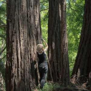 UCSC OpenLab, Art+Fog Collective, Summer field research