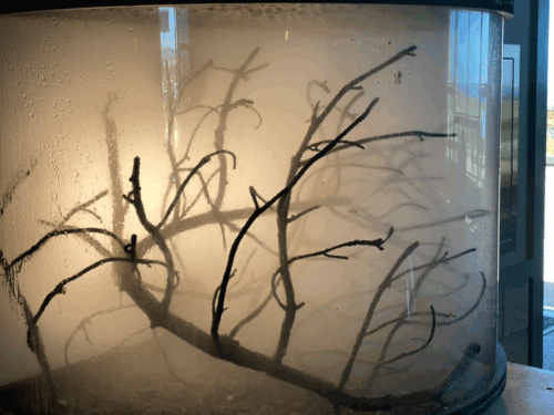 Art+Fog Exhibition at UCSC Seymour Marine Center, May-Sept 2025