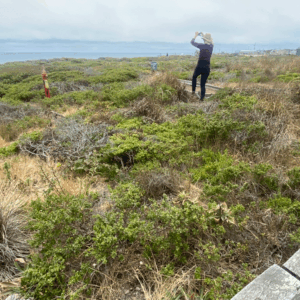 Art+Fog Collective, field research, summer 2025