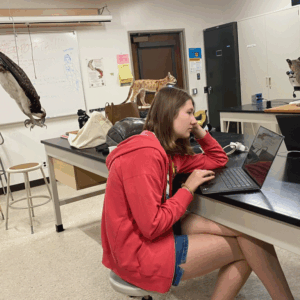 Art+Fog Collective working with the UCSC Norris Center for Natural History